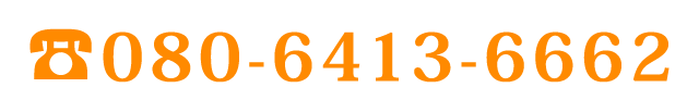 08064136662